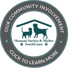 community involvement button